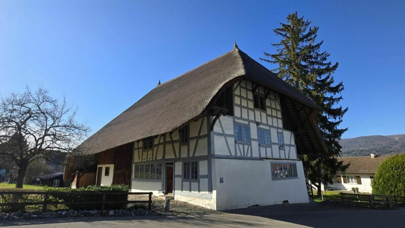 Strohdachhaus 2025 001